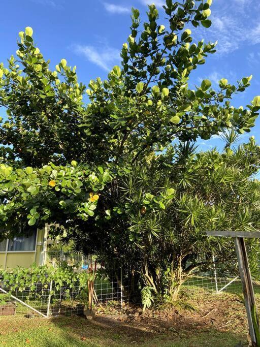 The Homebase - Charming 3 Bedroom Home, With Ac! Сasa de vacaciones