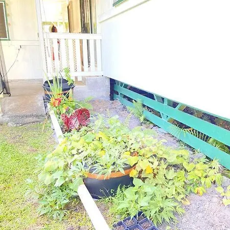 The Hilo Homebase - Charming 3 Bedroom Hilo Home, With Ac! Exterior photo