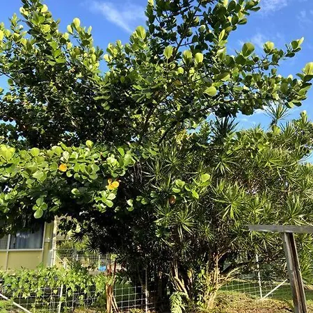 The Hilo Homebase - Charming 3 Bedroom Hilo Home, With Ac! Exterior photo